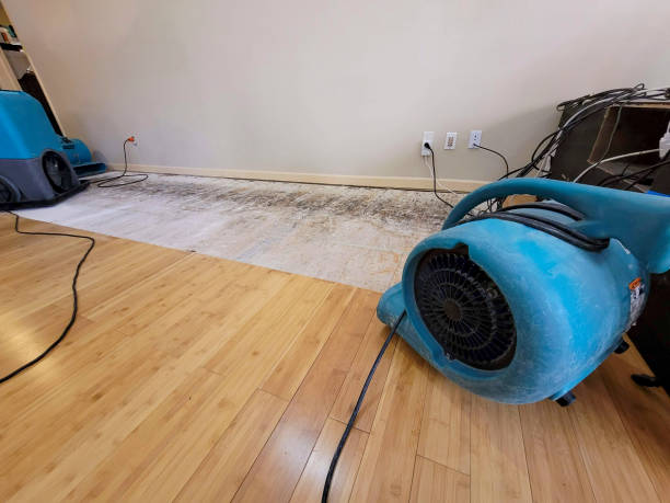 Professional Structural Drying technician working in Marble Hill, GA
